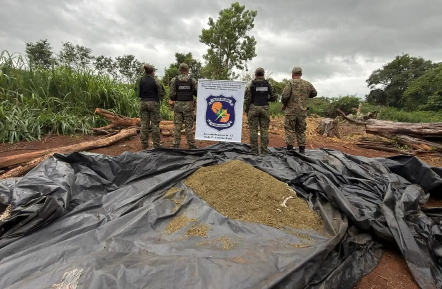 Operativo antidrogas incinera plantaciones y más de 1.600 kilos de marihuana en Capitán Bado
