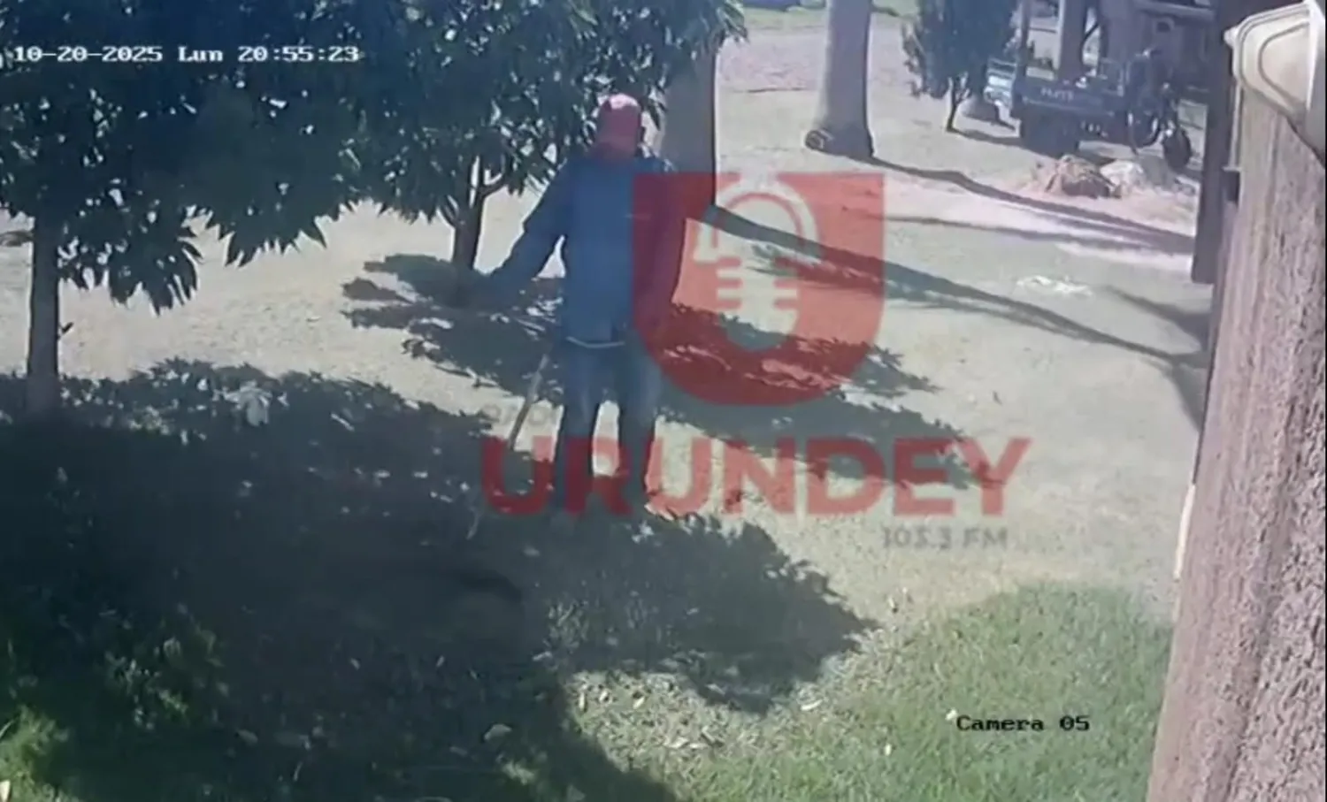 PJC: Ladrón aprovecha que dueño cortaba pasto y huye con motocarro