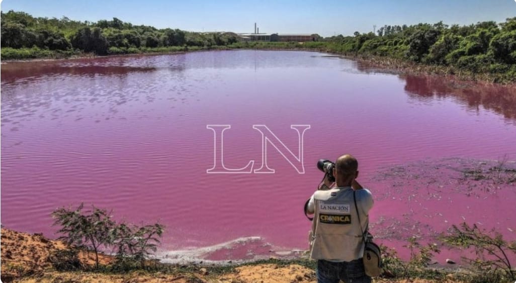 Acusan y piden juicio para empresario brasileño que contaminó laguna