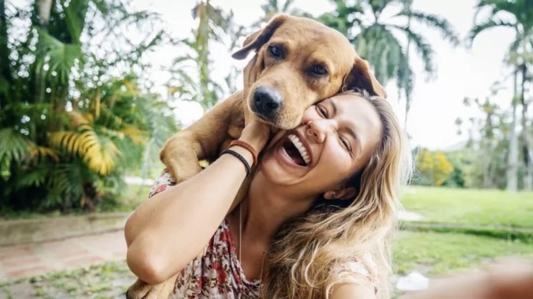 Según nuevo estudio: los perros lloran de alegría cuando se reencuentran con sus dueños