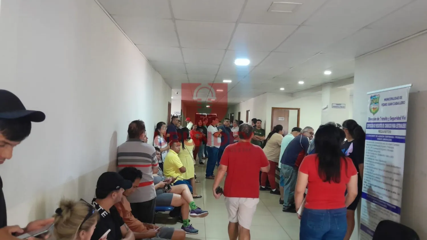 Municipalidad de PJC aclara que las licencias con código QR se implementarán de forma gradual