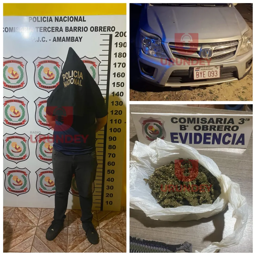 Conductor es detenido con marihuana y sin licencia de conducir en Pedro ...