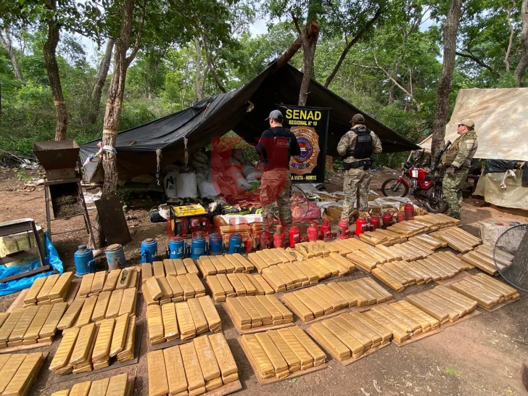 SENAD incauta más de 4 mil kilos de marihuana en Bella Vista Norte
