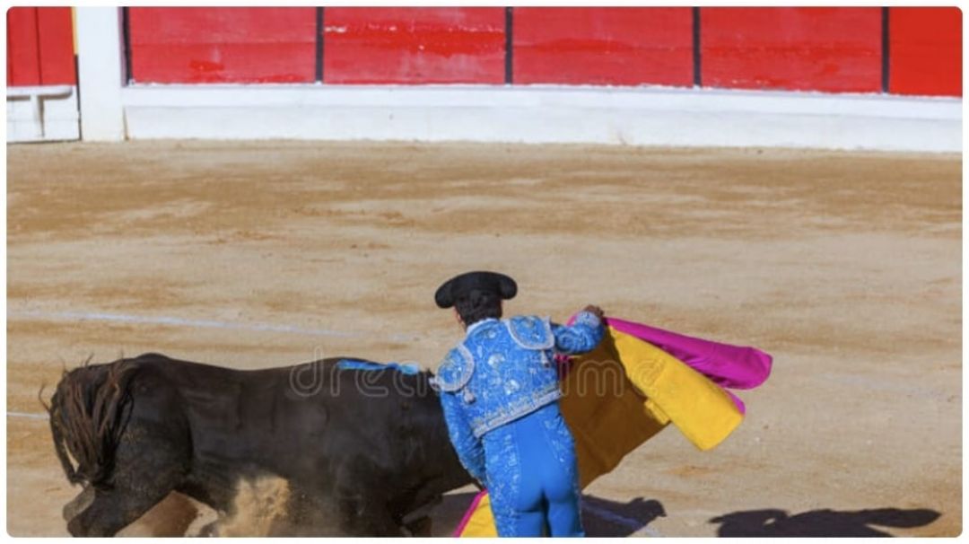 Muere joven de 16 años en Portugal por ataque de toro en un encierro