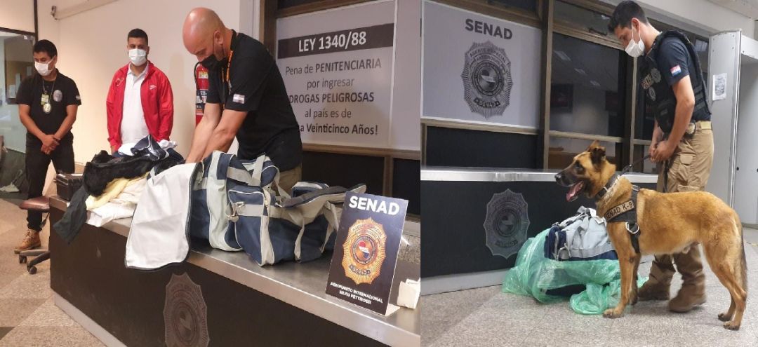 Can Messi detectó carga de 400 mil euros de cocaína en Aeropuerto Silvio Pettirossi