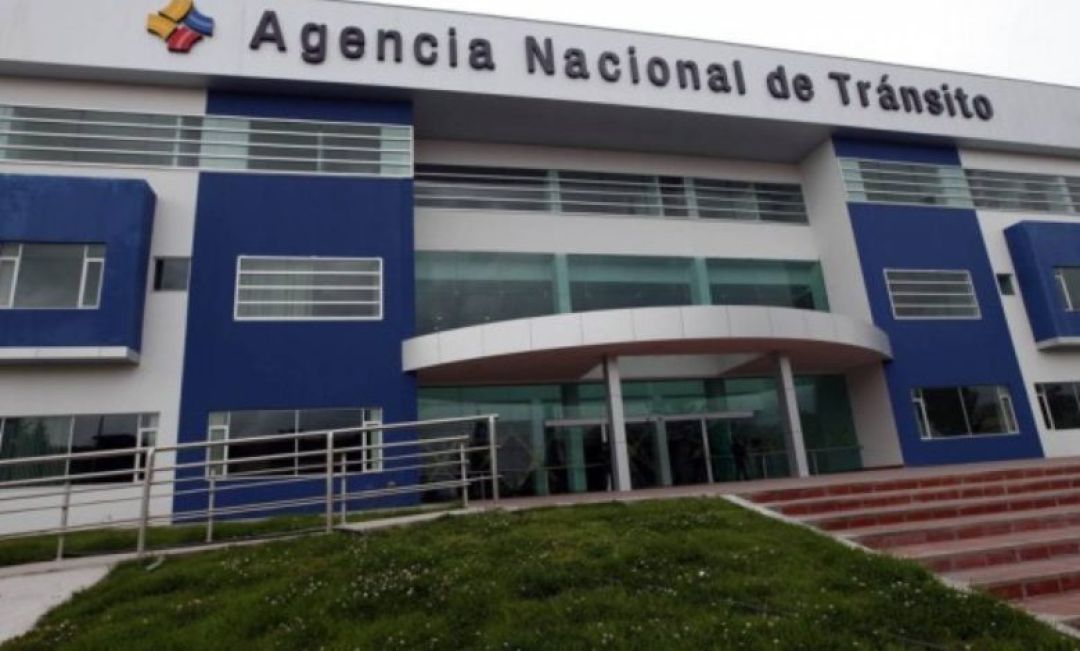 Auditoría retrasó 15 días entrega de licencias de conducir en Municipalidad de PJC, explican