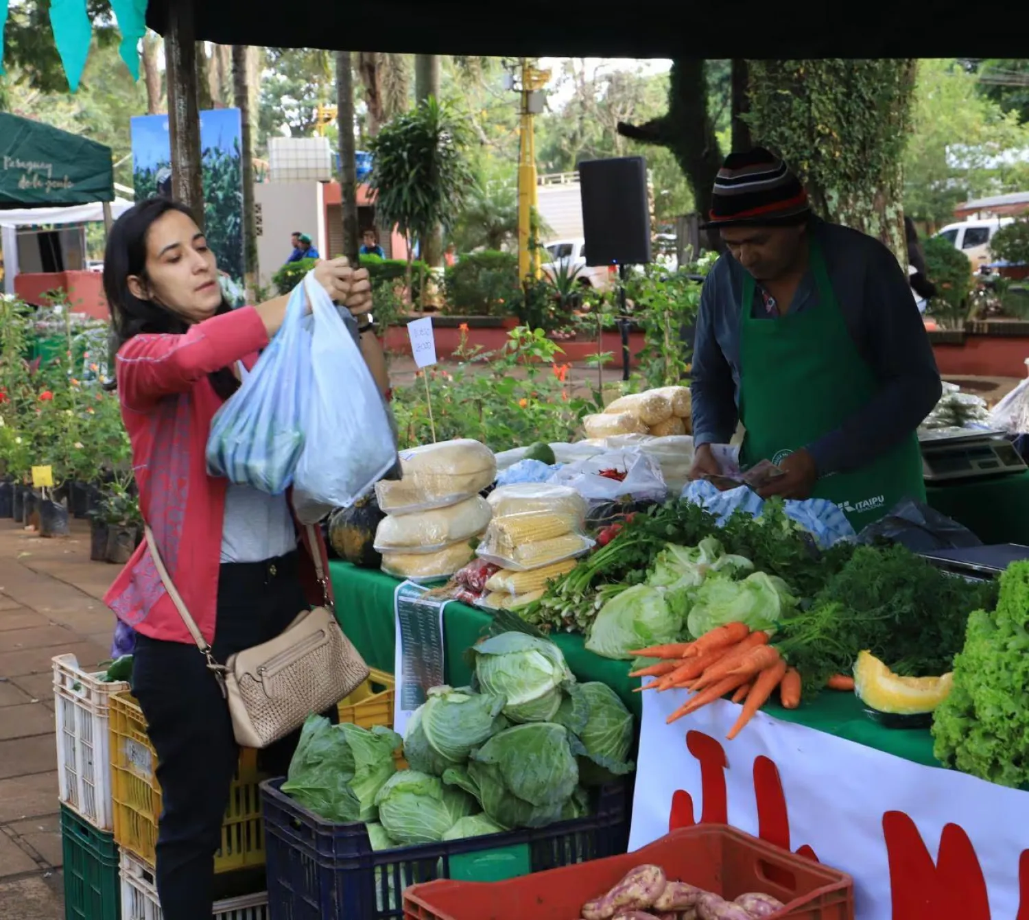 Ferias productivas se expanden en distintos puntos del país en diciembre