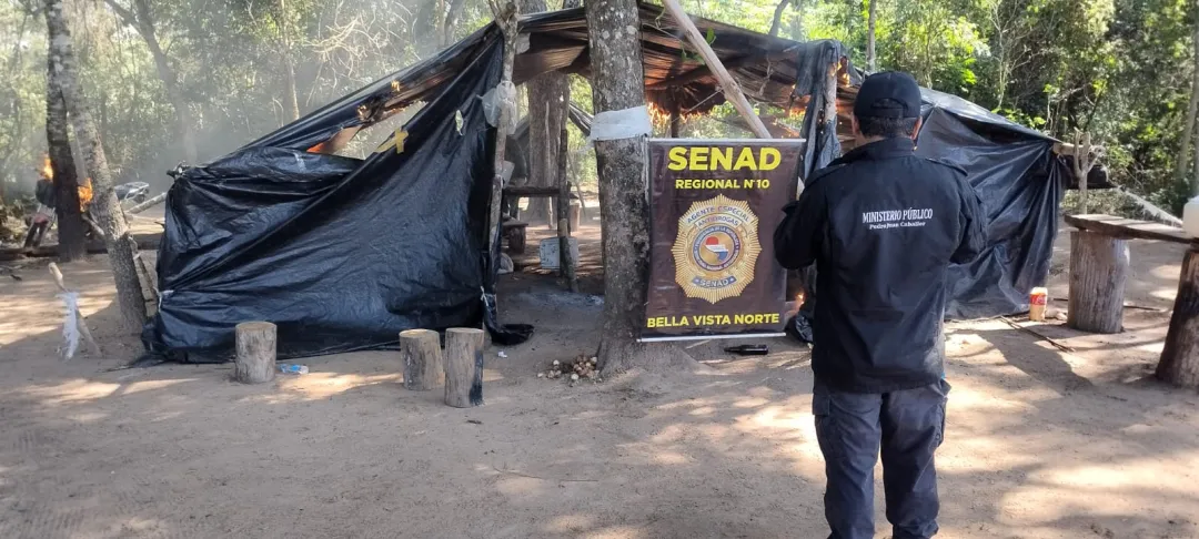 SENAD destruye más de 14 toneladas de marihuana en Bella Vista Norte