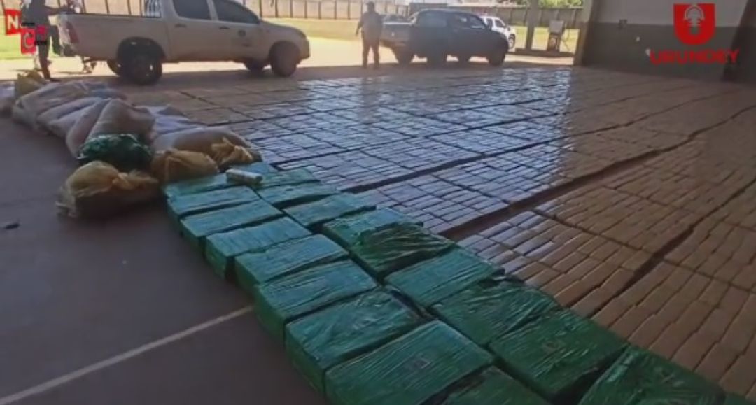 Senad prepara incineración de 12 toneladas de droga