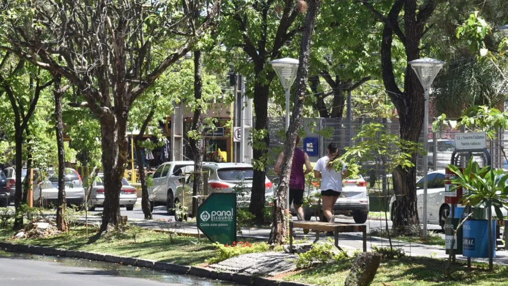 Clima fresco a cálido y con vientos del norte para este viernes