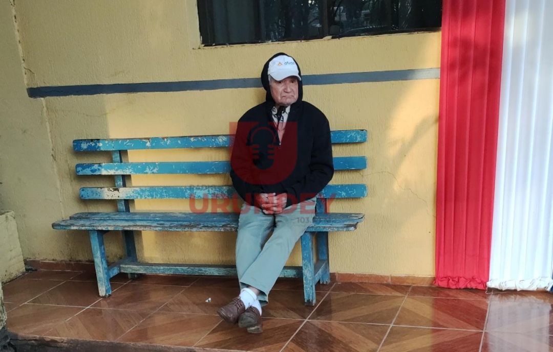 Rescatan a tres perros por presunto maltrato y dueño busca recuperarlos