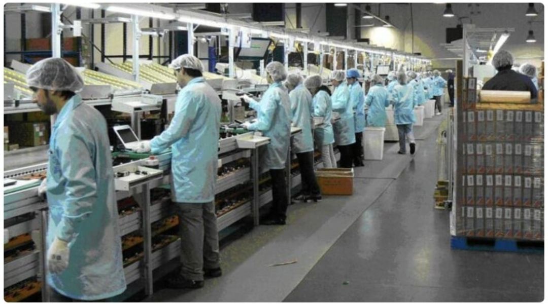 Argentina organiza una misión comercial tecnológica en Bolivia y Paraguay