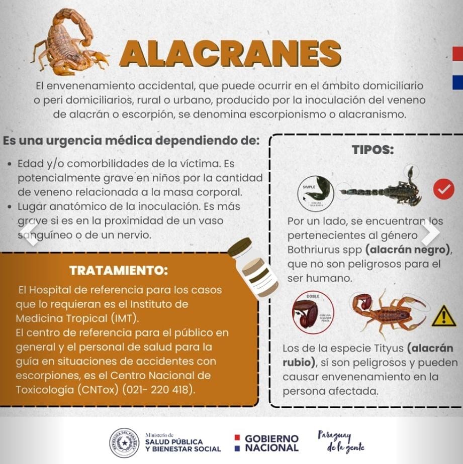 Alacranes: conozca las medidas de prevención para evitar accidentes por picaduras
