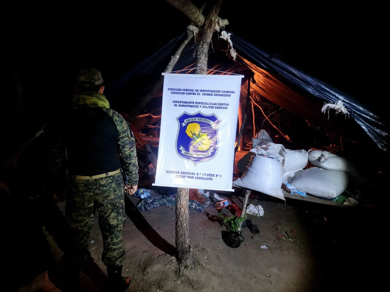 Destruyen tres toneladas de marihuana y cinco campamentos en Bella Vista Norte
