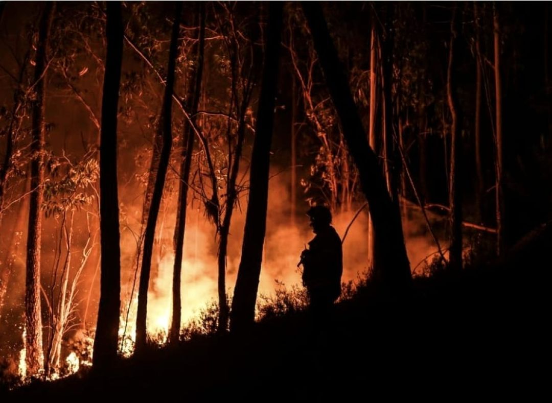 Tres incendios forestales amenazan en Portugal