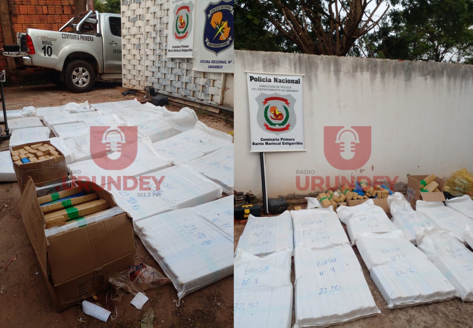 Policía incautó 438 kilos de marihuana tras allanar vivienda en el barrio Bernardino Caballero de PJC