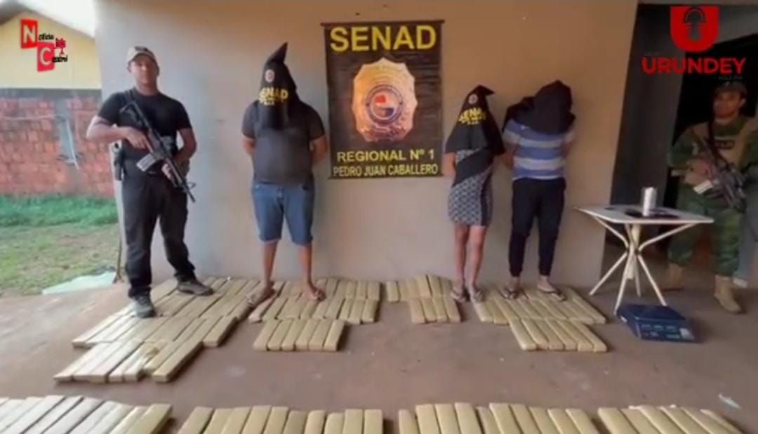 Senad allanó vivienda en PJC e incautó más de 270 kilos de marihuana