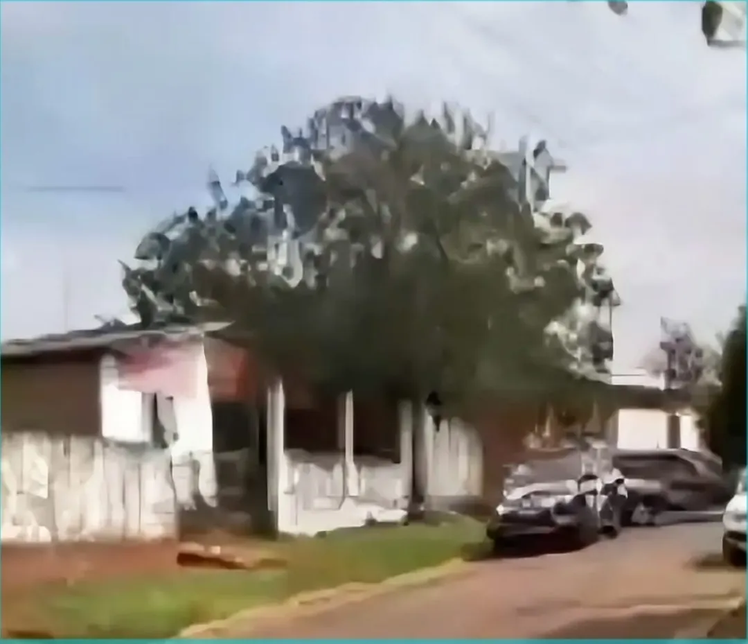 Encuentran muerto a anciano sordomudo en Ponta Porã y sospechan de asesinato