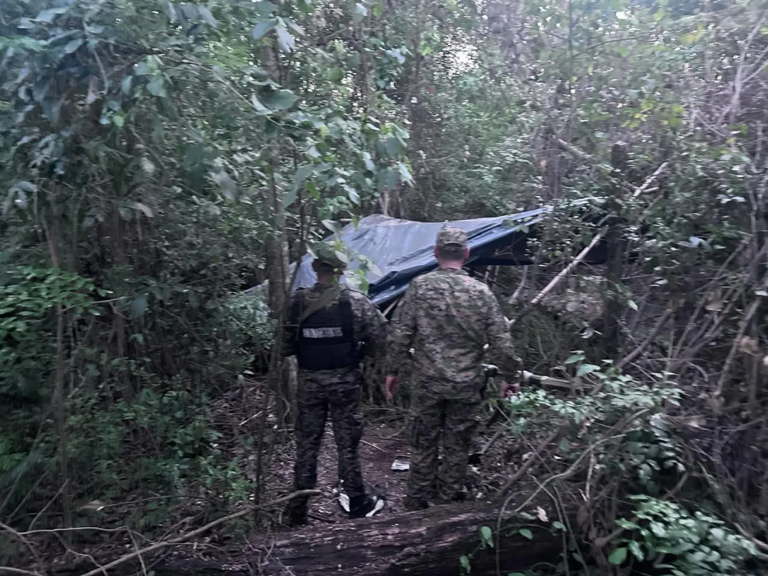 Destruyen casi tres toneladas de marihuana en Capitán Bado