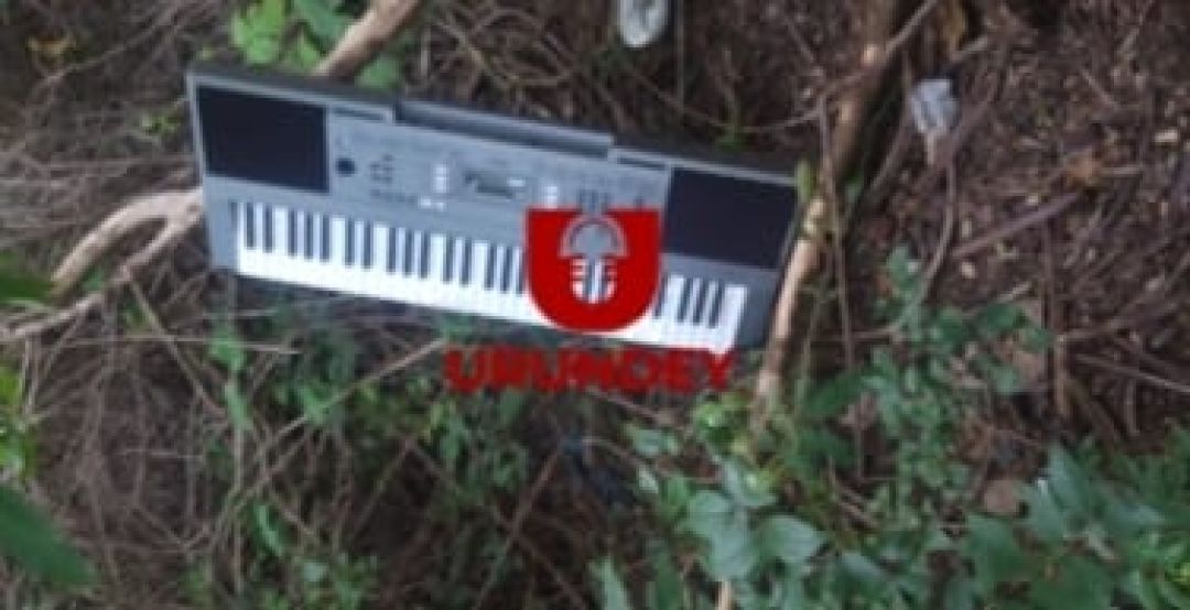 Vecinos frustran hurto serial de iglesias en PJC