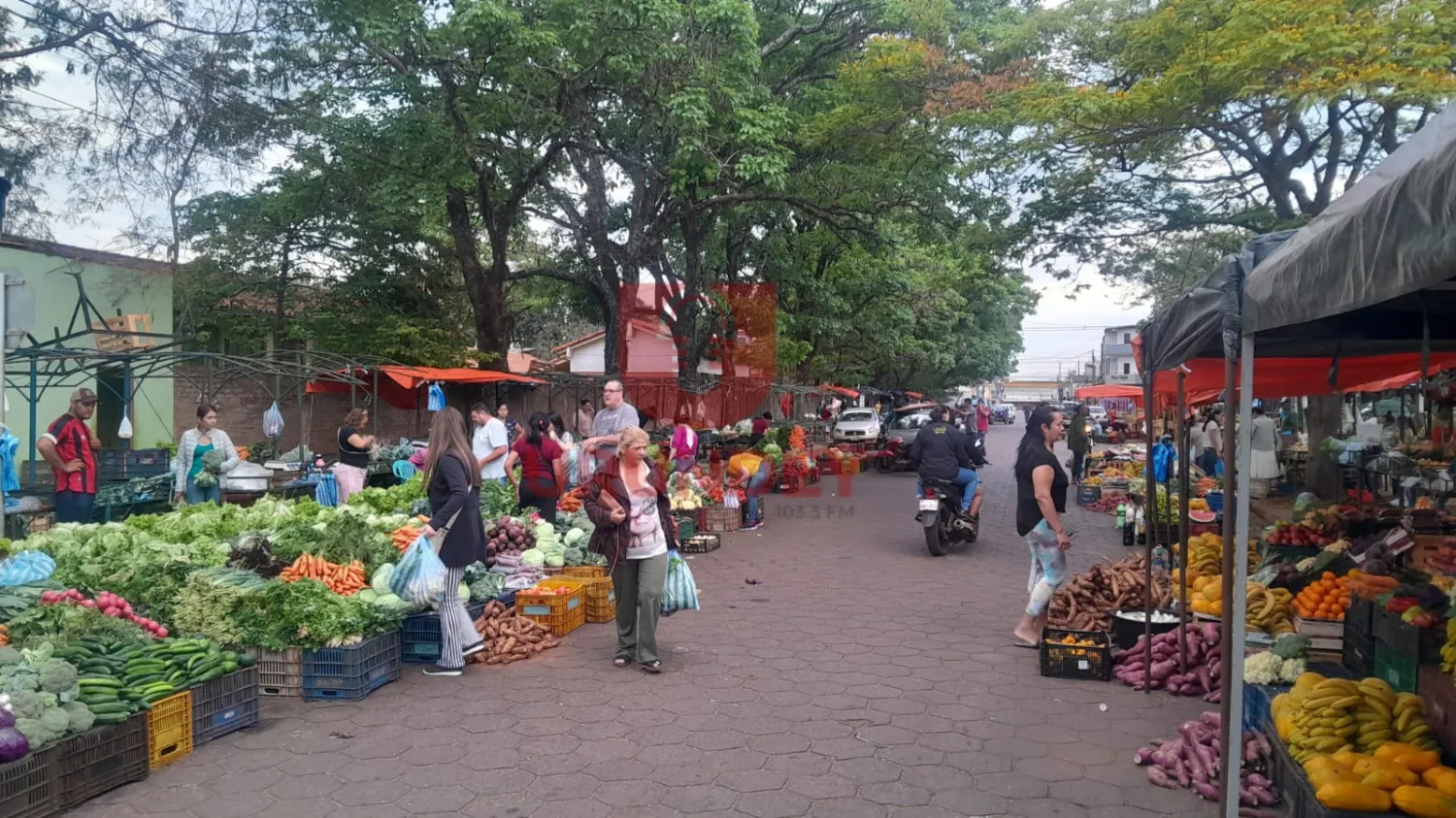 Cierre de ruta impide a productores de Yby Yaú y alrededores acercarse a PJC para la feria libre