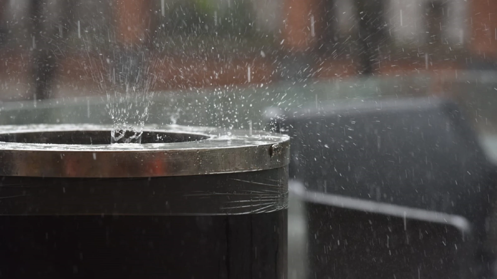 Clima caluroso, con vientos del sur y lluvias por la tarde para este lunes