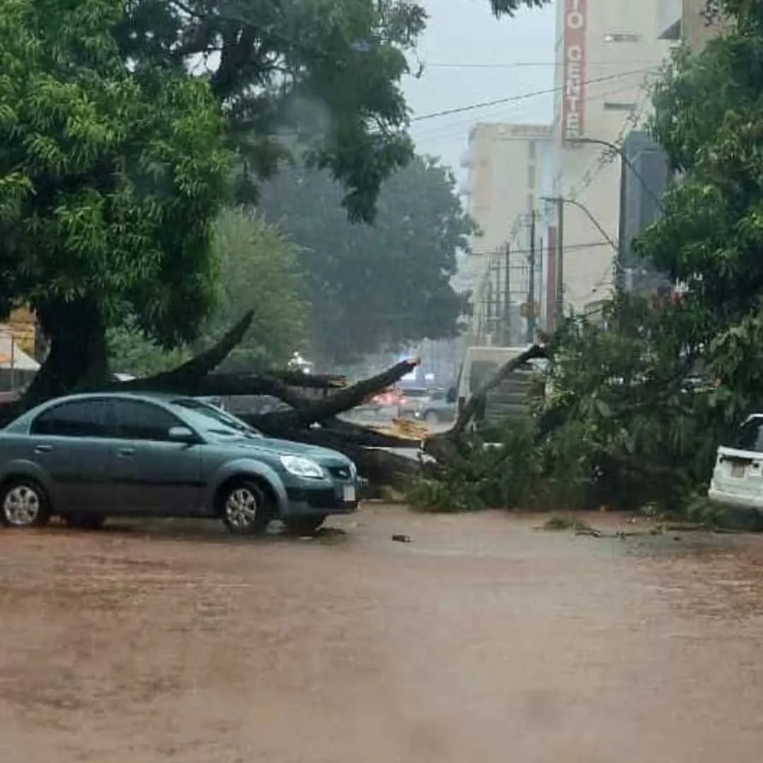 Intensa lluvia derribó árboles, dañó viviendas y formó peligrosos raudales en Pedro Juan Caballero