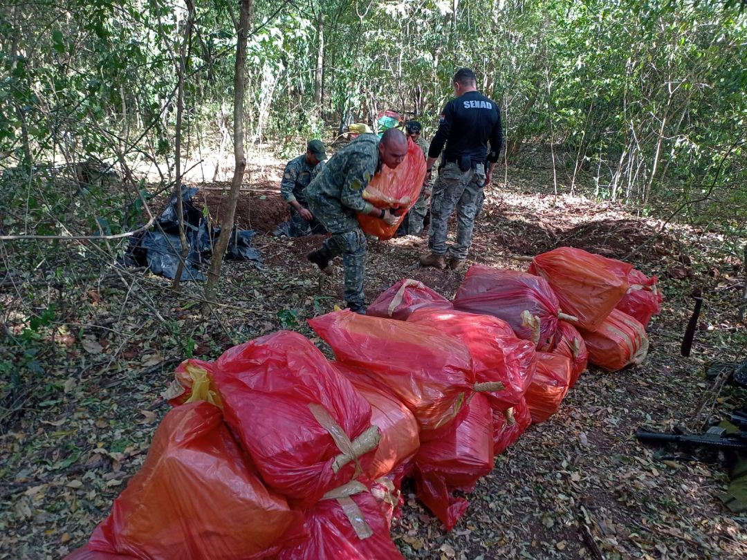 Senad y FTC detectan importante carga de marihuana en Colonia Estrella