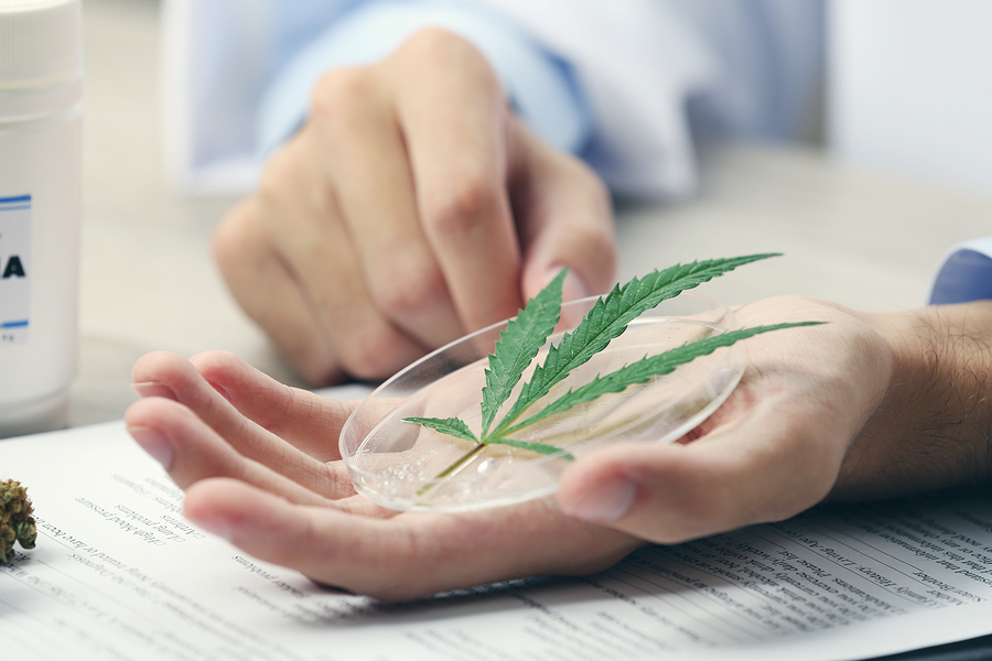 Bebe de 10 meses da positivo a Marihuana