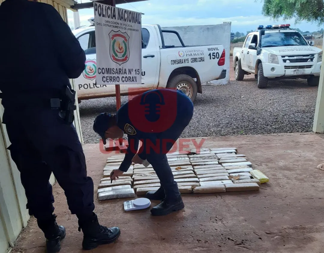Hallan 55 kilos de marihuana empaquetada en un baldío de Pedro Juan Caballero