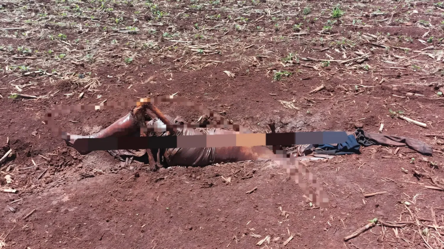 Policía Militar confirma hallazgo de cadáver en Ponta Porã