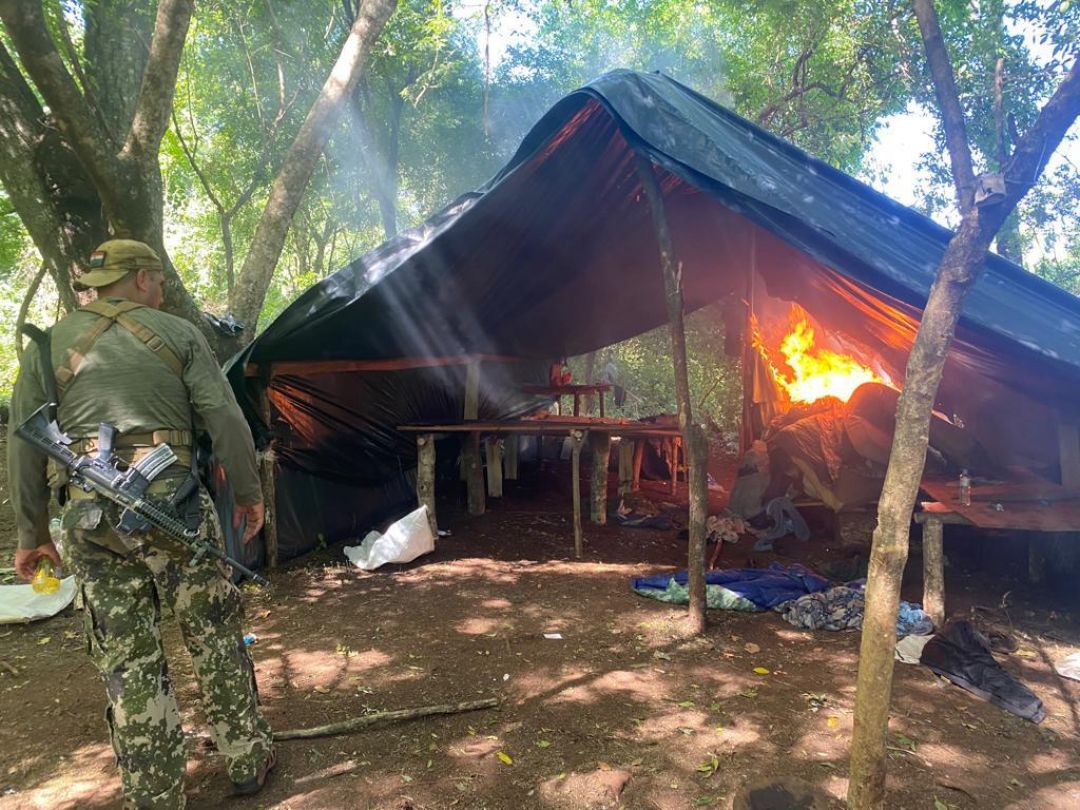 Senad destruyó parcelas y campamentos de marihuana en Santa Clara