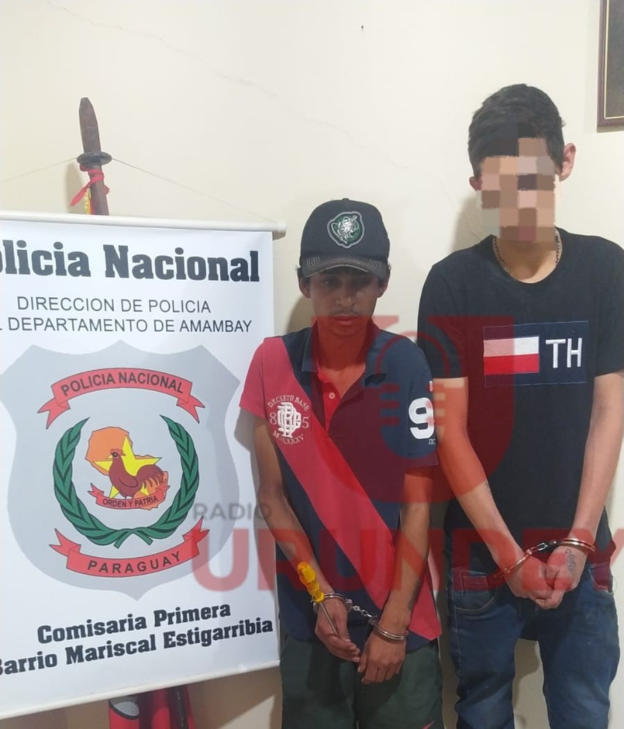 Dos jóvenes fueron aprehendidos luego de un intento de hurto 