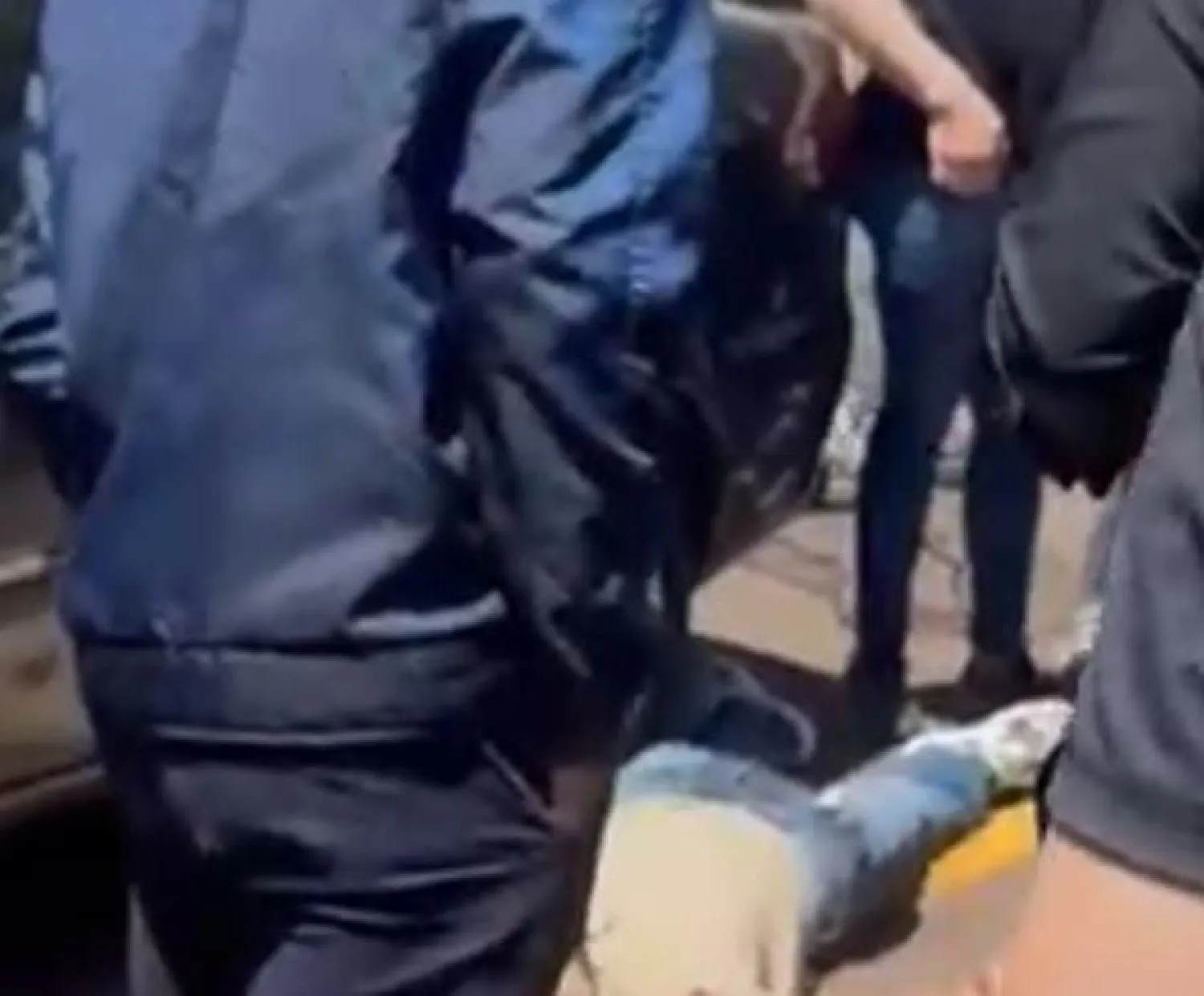 PJC: Víctima de atentado en shopping recibió 16 balazos y murió de forma instantánea