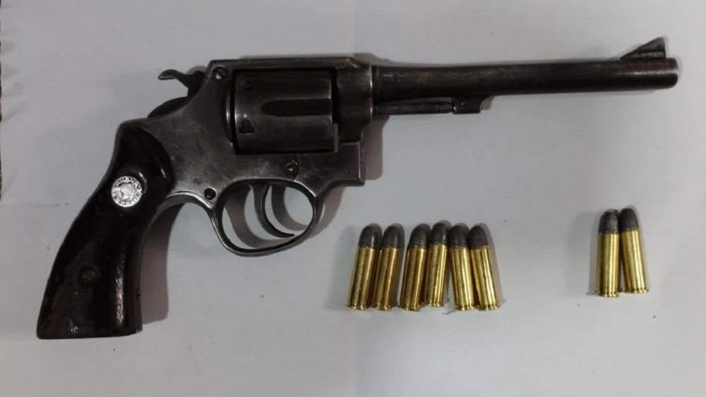 Santiago Peña suspende la importación de armas de fuego
