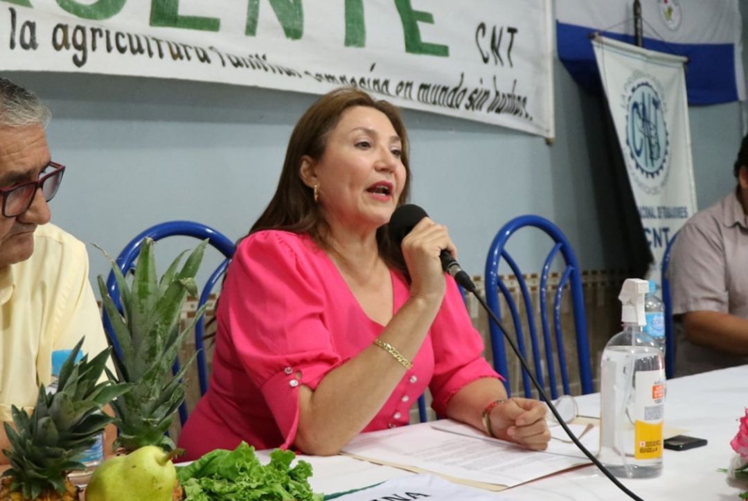 Indert solicita no aprobar loteamiento de Itapopo S.A. pero Junta Municipal de PJC no haría caso a pedido
