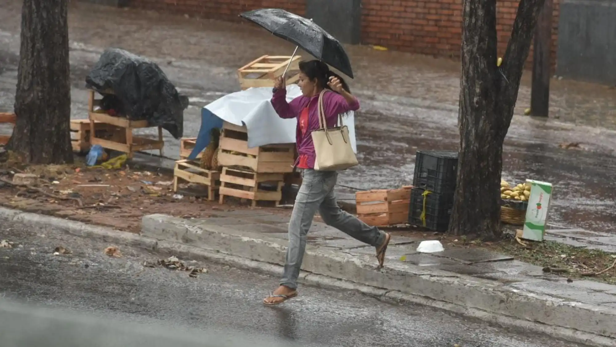Lunes caluroso e inestable: Hay alerta de lluvias y tormentas