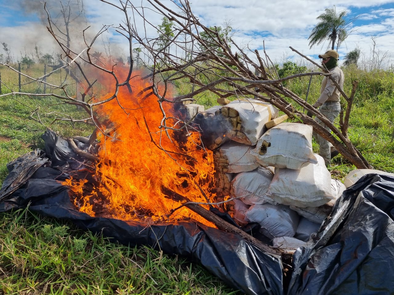 Senad sacó de circulación 1.000 kilos de marihuana en Colonia Estrella