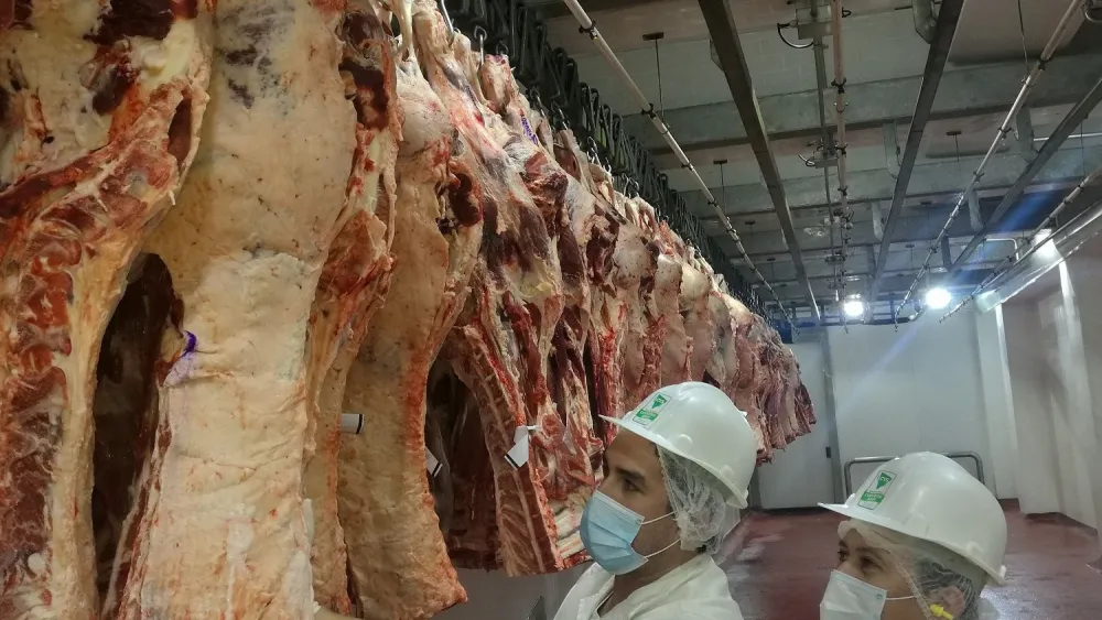 Canadá abrirá sus puertas a la carne paraguaya
