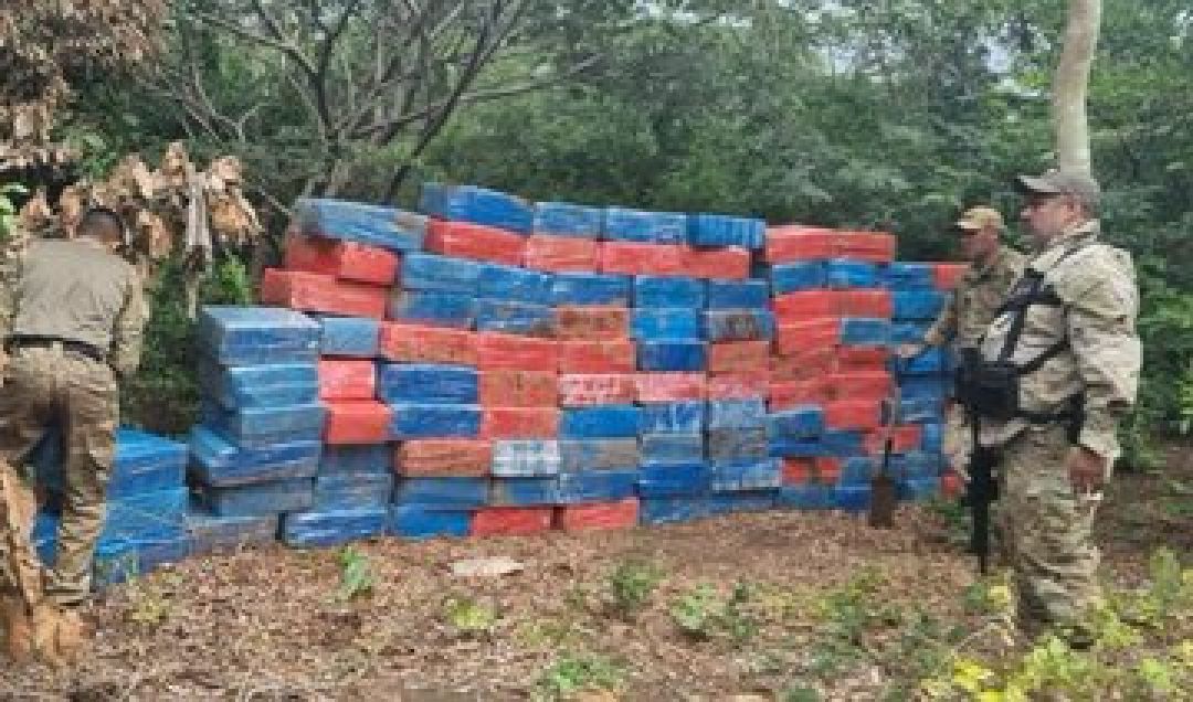 Hallazgo de la Senad en Colonia Piky perjudicó por más 7 millones de dólares al narcotráfico