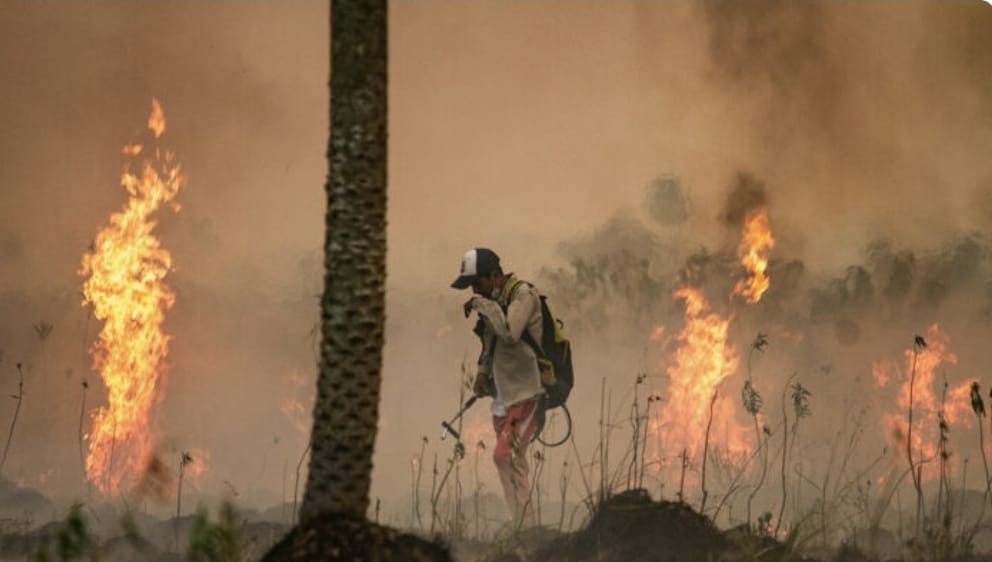 Masivas protestas en Argentina por intoxicaciones a raíz de la quema de humedales en el delta del río Paraná