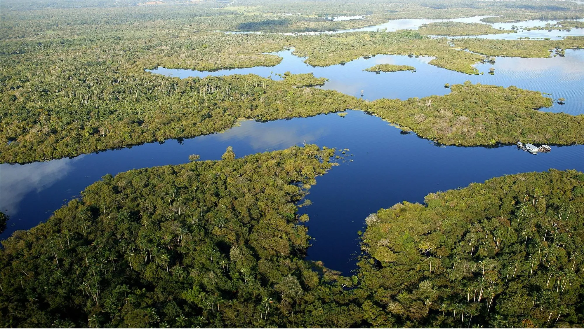 Brasil registra la primera caída de la deforestación en cinco años