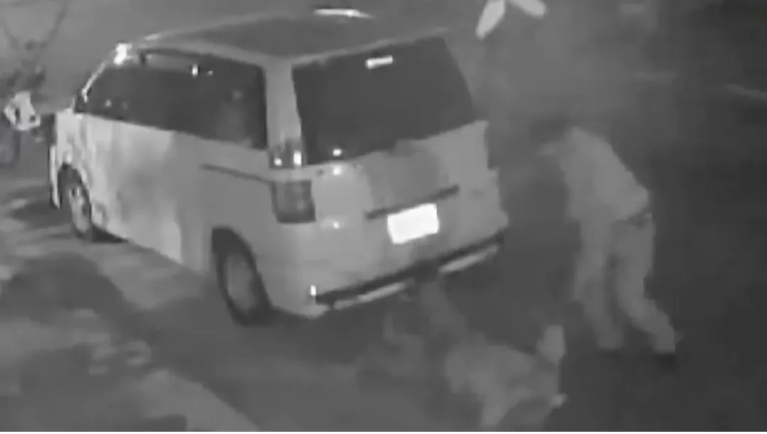 Violencia de género: Funcionario de Dinatrán golpeó brutalmente a su pareja y quedó detenido