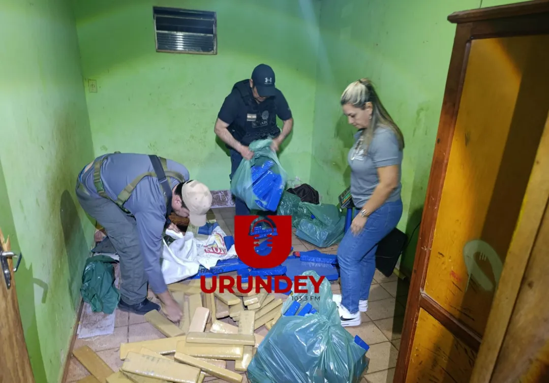 SENAD incauta 135 kilos de marihuana tras allanar una casa en Pedro Juan Caballero