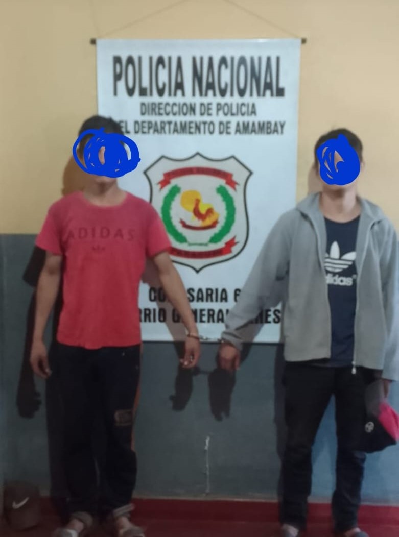 Policías detuvieron a dos hermanos con orden de captura en el barrio Gral. Genes