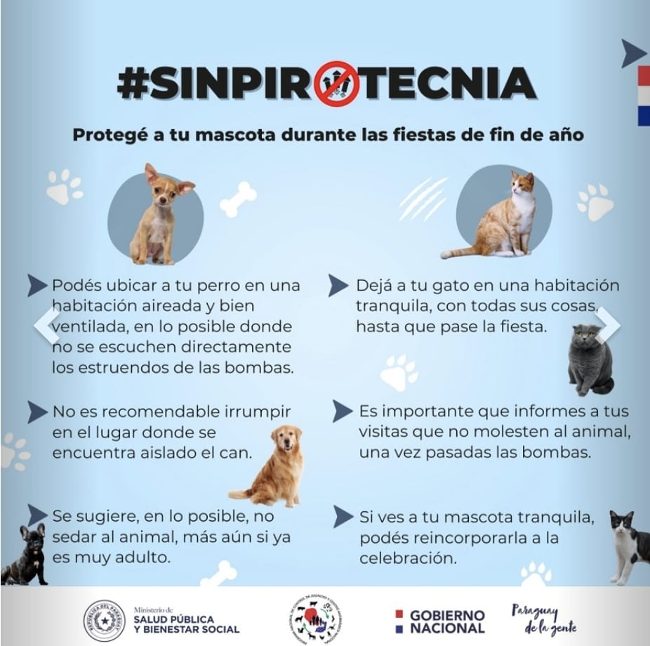 Evitemos el sufrimiento de animales, dejando de lado la pirotecnia