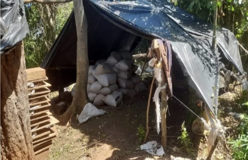 Senad desmantela casi tres toneladas de droga en la Reserva San Rafael