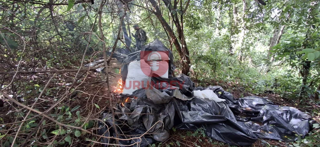 SENAD y FTC sacan de circulación 30 toneladas de marihuana en Capitán Bado