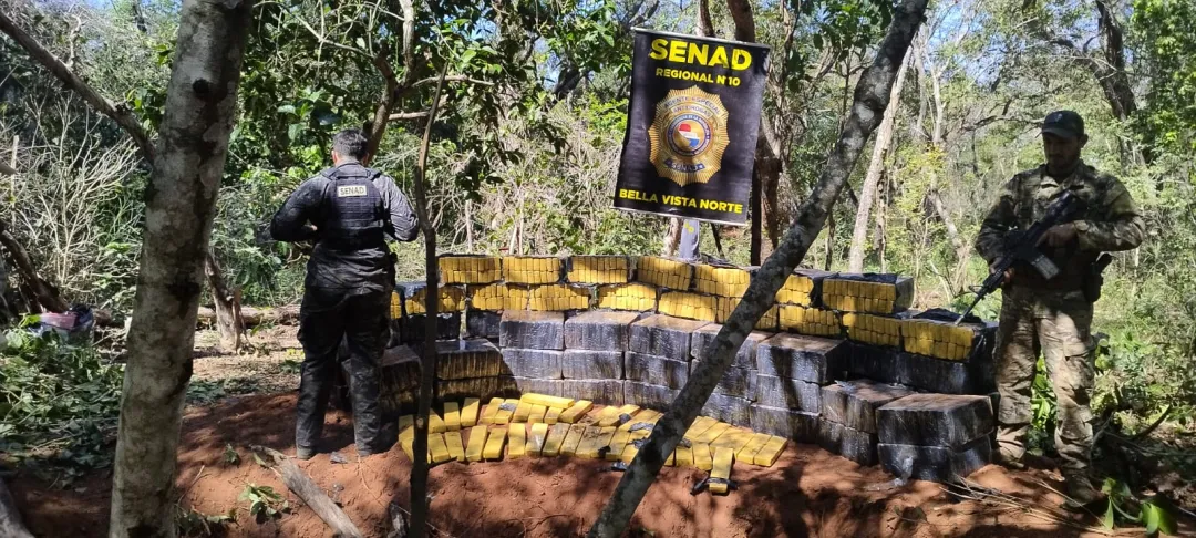 SENAD destruye más de 6,5 toneladas de marihuana en Bella Vista Norte