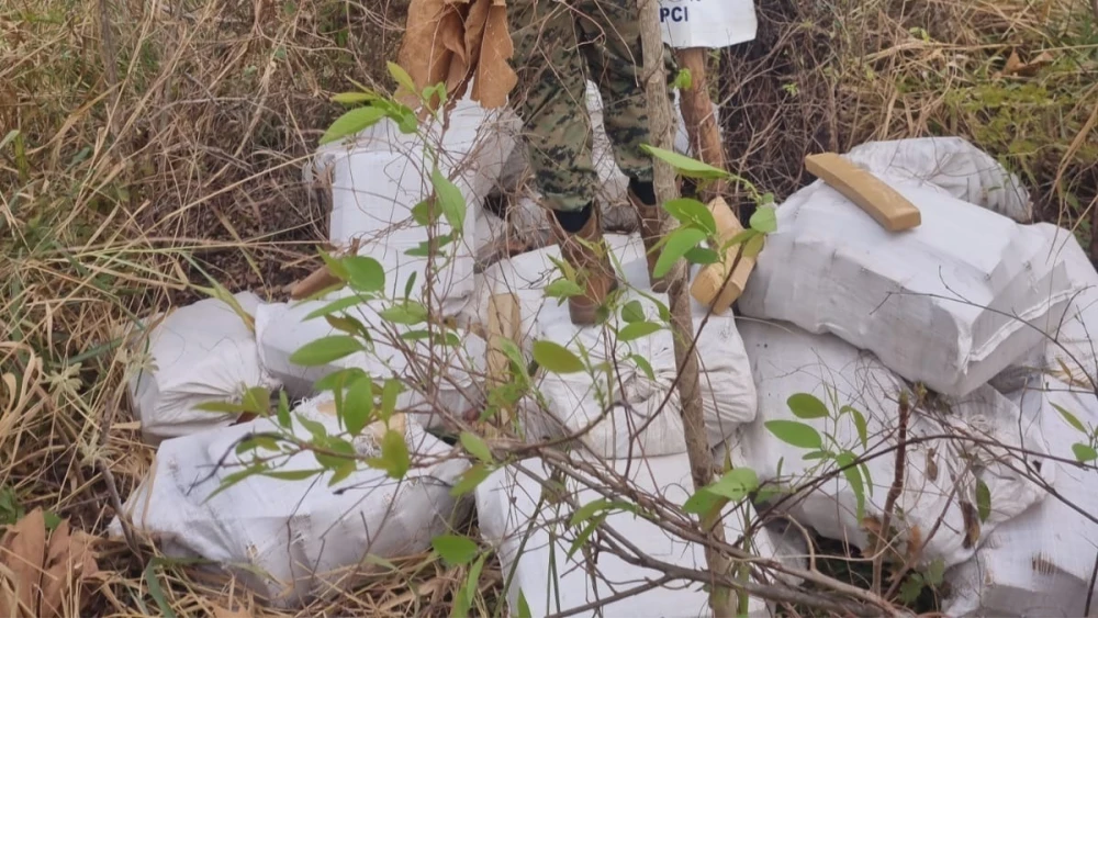 Agentes antinarcóticos hallaron 1000 kilos de marihuana